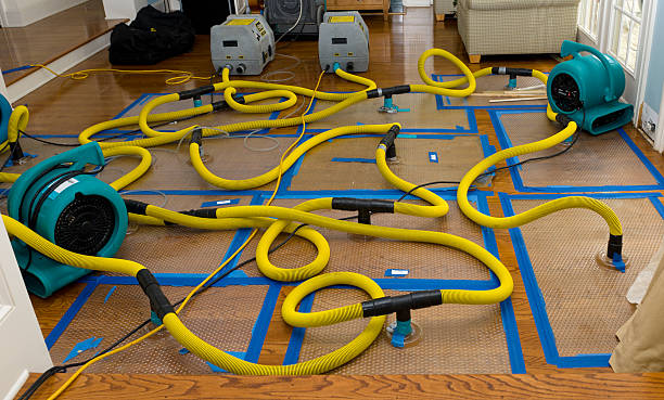 Professional Water Damage Restoration technician working in Goshen, AR
